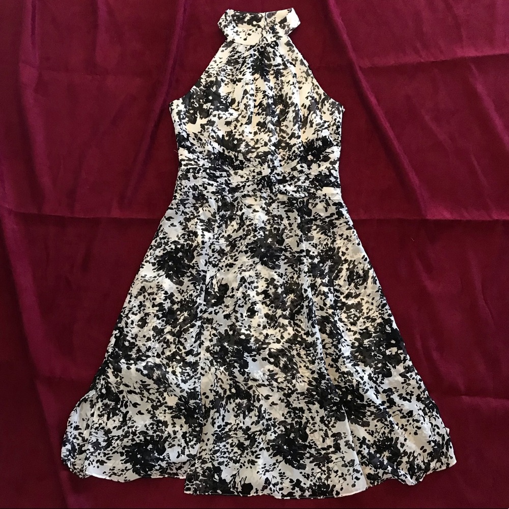 White House | Black Market Dress
